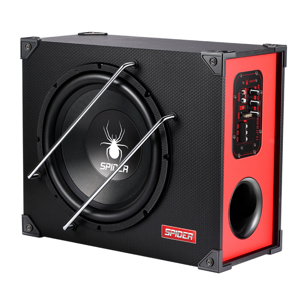 CAJON AMPLIFICADO 3 EN 1- 12PICK