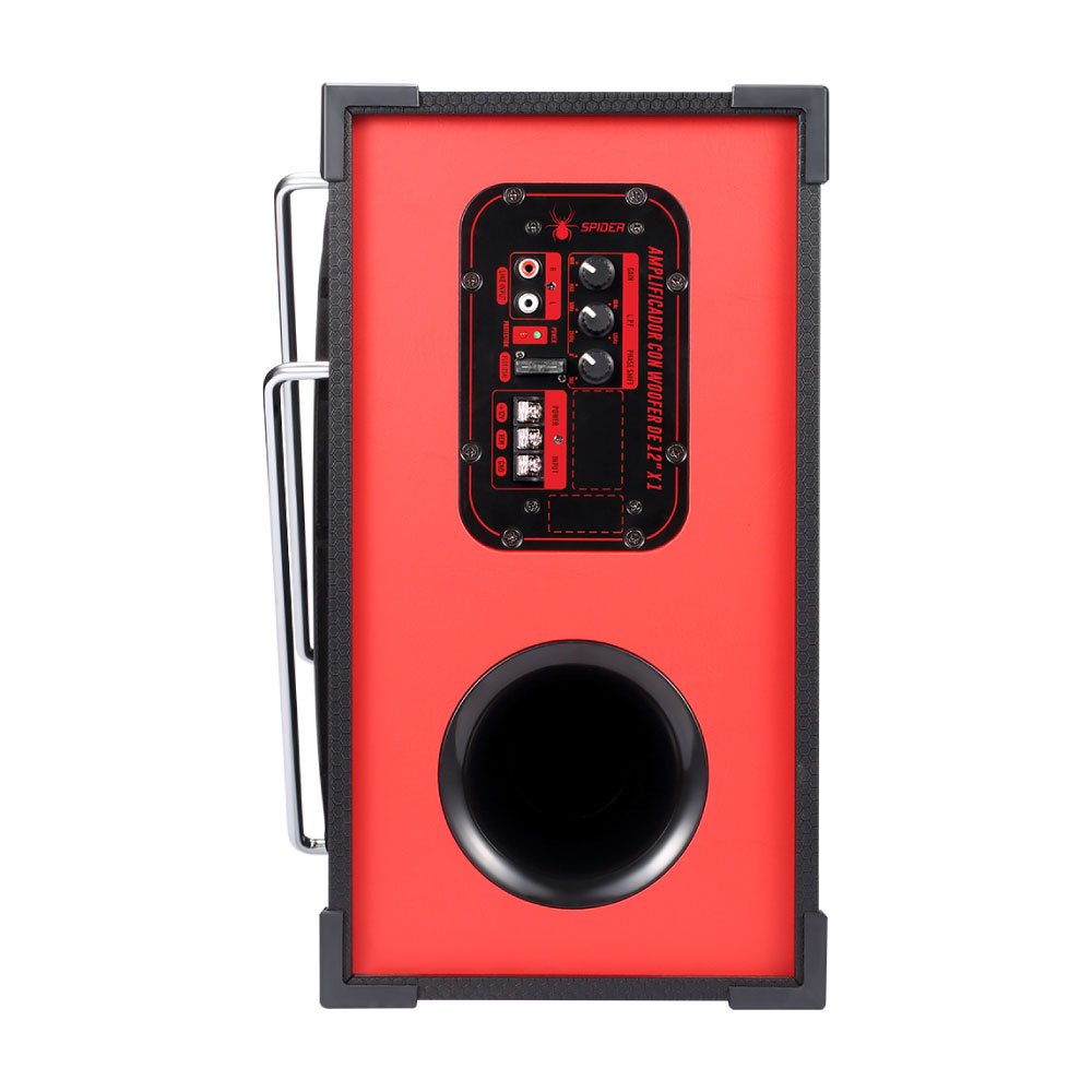 CAJON AMPLIFICADO 3 EN 1- 12PICK